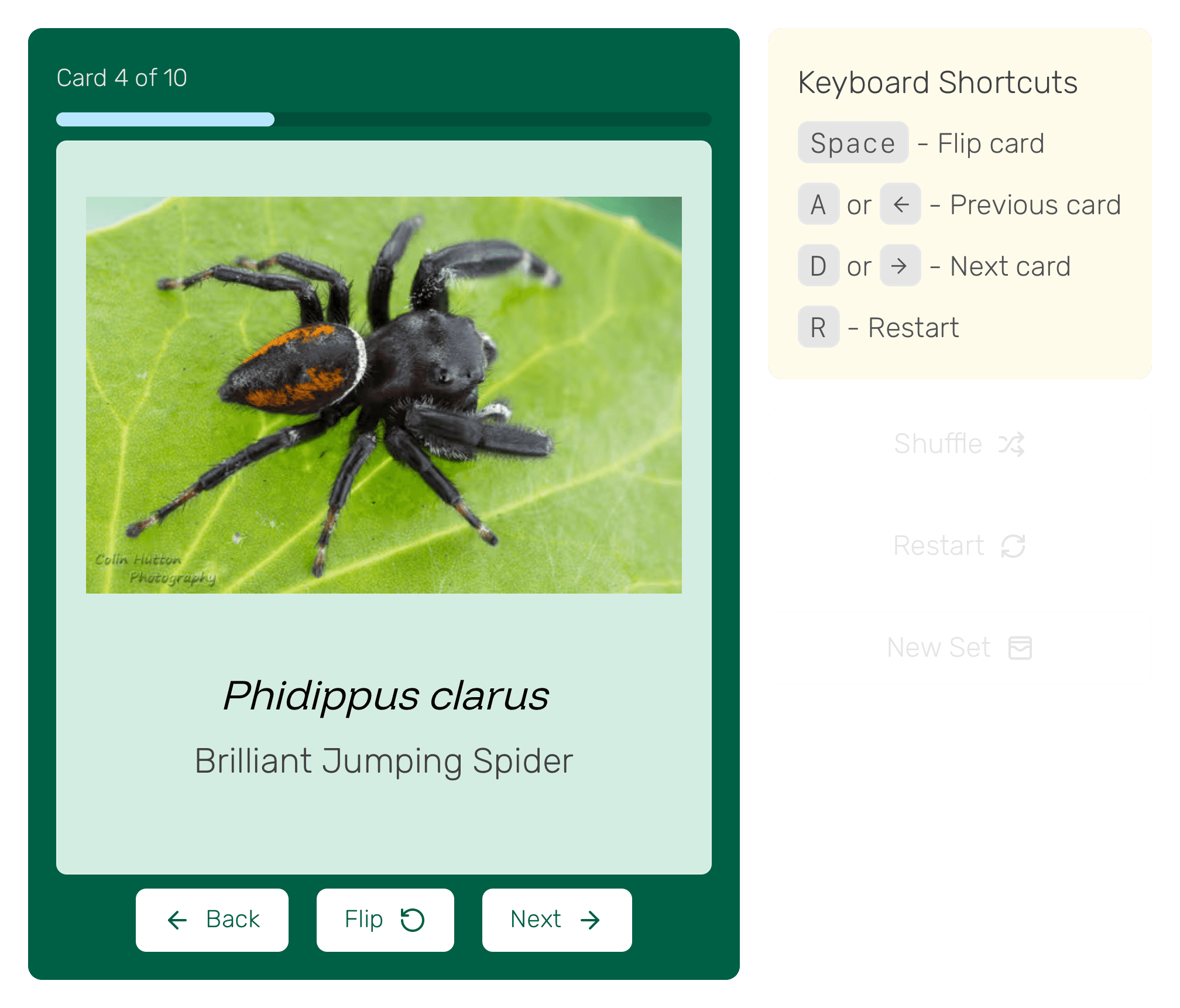 Flashcards