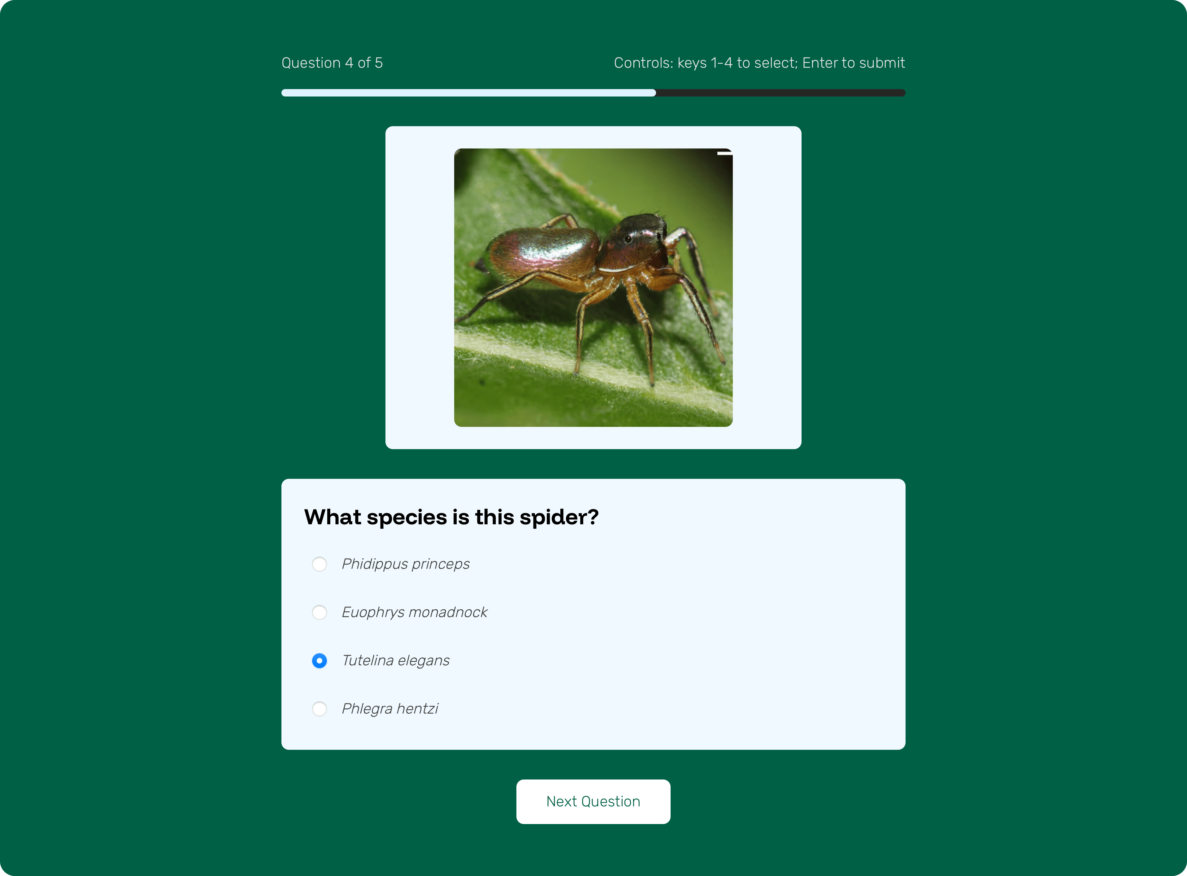 Quiz