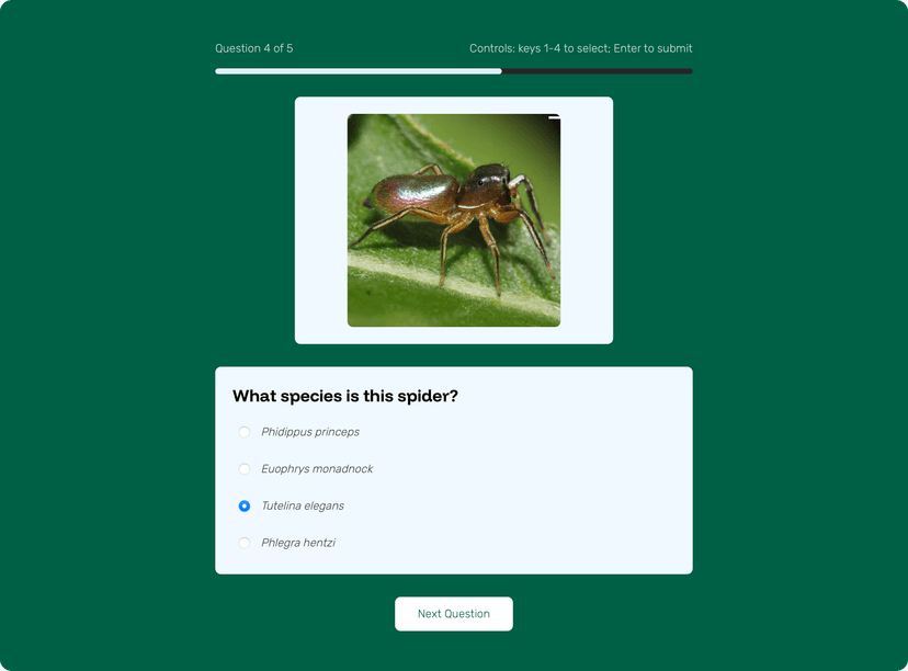 Quiz